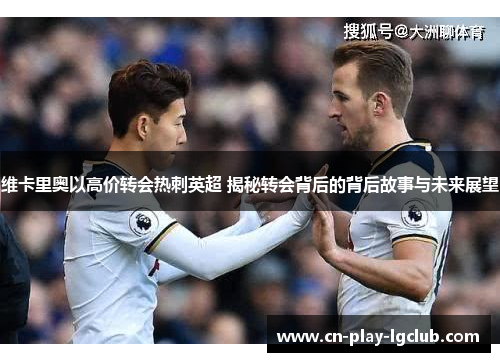 维卡里奥以高价转会热刺英超 揭秘转会背后的背后故事与未来展望